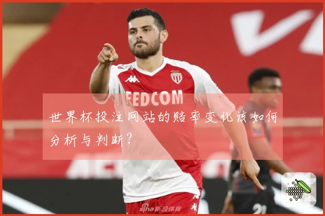 世界杯投注网站的赔率变化该如何分析与判断？